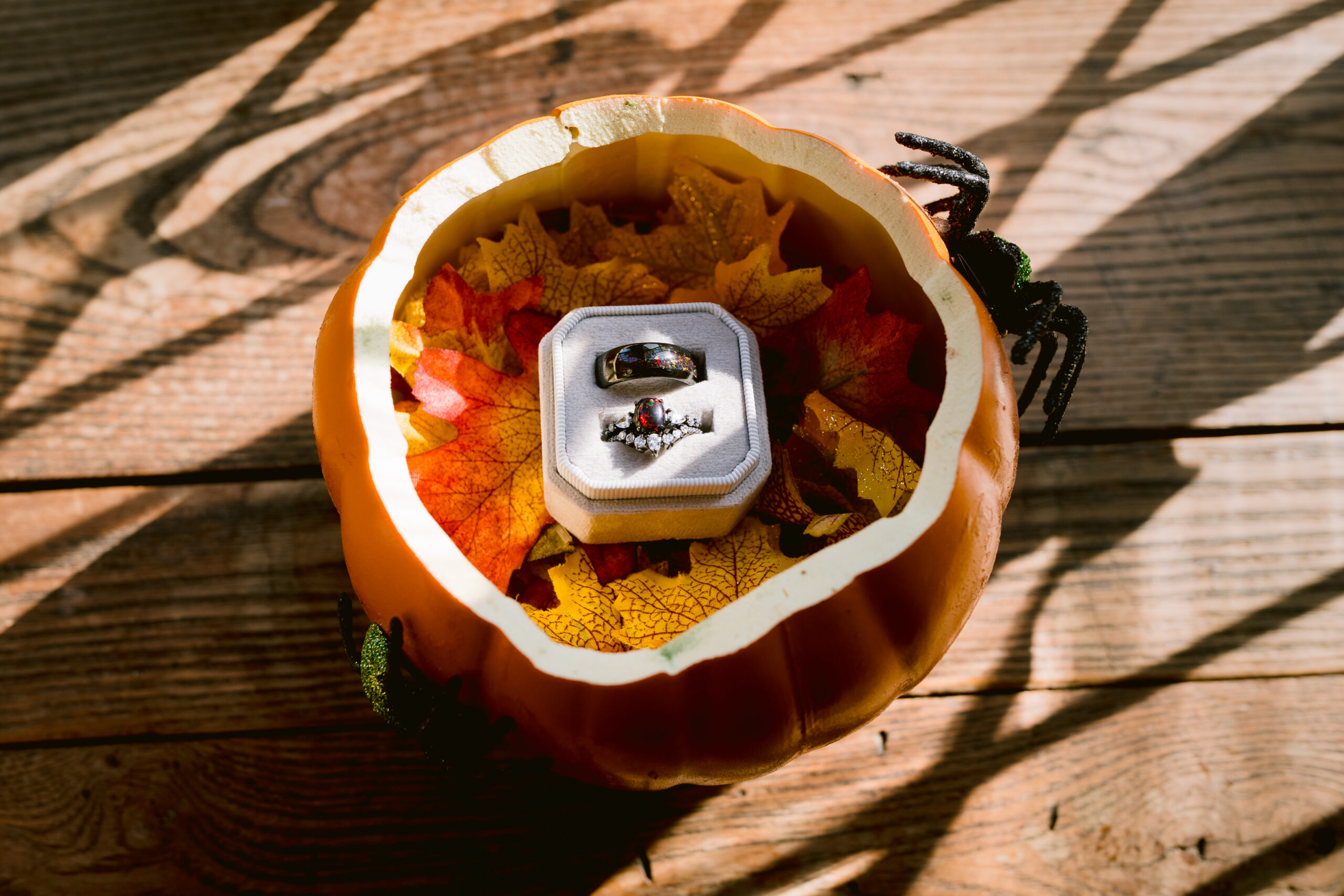 wedding rings inside of a pumpkin on a table 